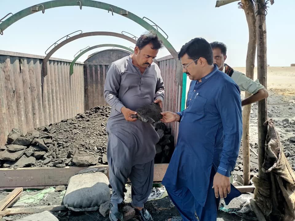 Coal inspection
