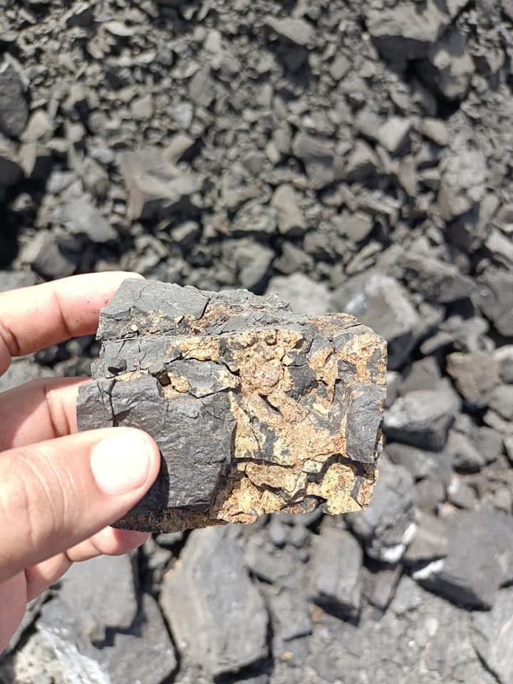 Coal sample